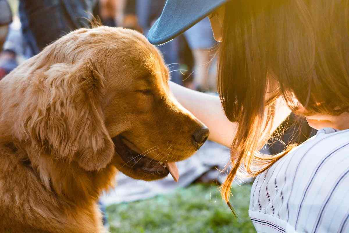 Perché il cane lecca viso mani e piedi del padrone: il suo significato