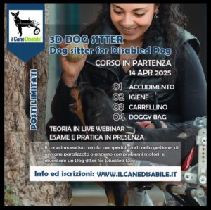 Corso 3D per l’accudimento di cani disabili